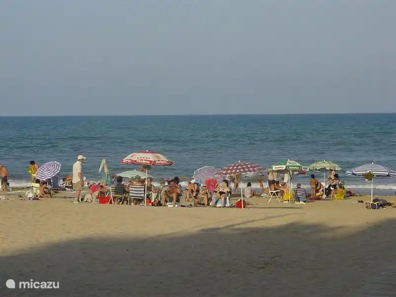Une partie de la plage