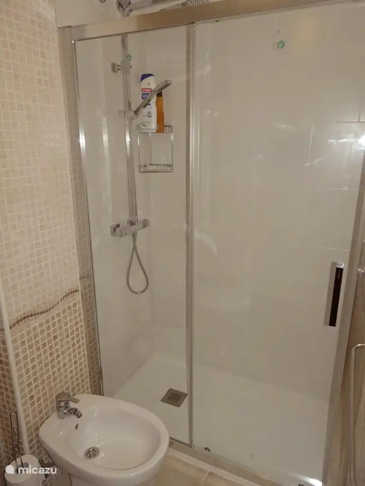 La douche à l'italienne avec douche pluie