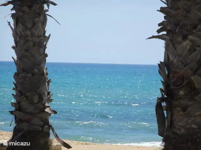 Maison de vacances Rascasa 2/5 à La Mata. | Espagne, Costa Blanca, La Mata - appartement Mer