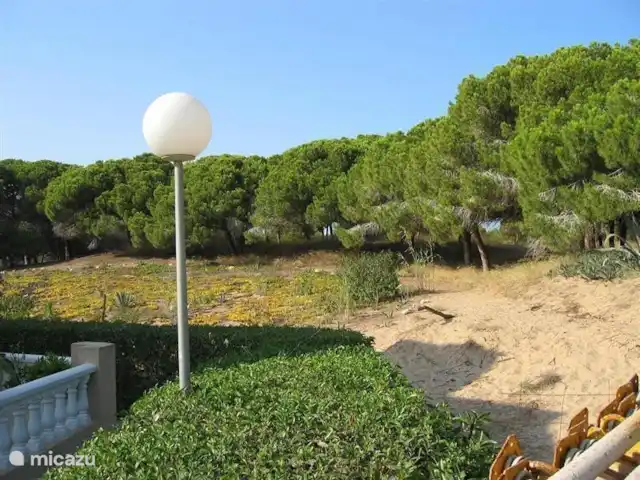 Maison de vacances Rascasa 2/5 à La Mata. | Espagne, Costa Blanca, La Mata - appartement Côté dune