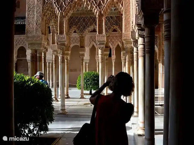 Lekker naar Spanje huren in Spanje, Costa del Sol, Benalmádena - appartement Dit spectaculaire monument In  Alhambra  zal 
elke  bezoeker haar fascineren.  Aan het gedetailleerde pleisterwerk op de muren lijkt maar geen einde te komen, terwijl de architecturale details doorheen het hele complex gespiegeld worden . Afstand 110 KM