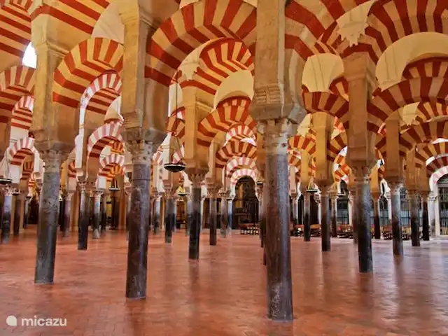 Lekker naar Spanje huren in Spanje, Costa del Sol, Benalmádena - appartement De Mezquita van Córdoba is een ander stukje UNESCO-werelderfgoed dat zeker een bezoek waard is. De bouw van deze indrukwekkende moskee begon in 786 en het duurde maar liefst 200 jaar om die af te werken. Je kunt hem vinden in het centrum van de oude wijk van Córdoba .Afstand 145 KM