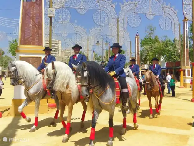 Lekker naar Spanje huren in Spanje, Costa del Sol, Benalmádena - appartement De provincie Jerez staat ook bekend om haar lange Andalusische paardentraditie. Hier leeft de traditionele barokke rijkunst nog voort, mede dankzij instituten als de Real Escuela Andaluza Del Arte Ecuestre. In deze school kun je terecht voor rondleidingen en shows.. Afstand 140 km.