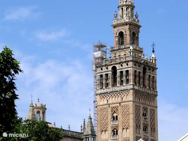 Lekker naar Spanje huren in Spanje, Costa del Sol, Benalmádena - appartement Tijdens een bezoek aan de provincie Sevilla loont het ook de moeite om een van de vele adembenemende witte dorpjes te bezoeken. Deze dorpjes bevinden zich in de heuvels  De smalle straatjes met hun authentieke mediterraanse sfeer zijn de perfecte achtergrond voor idyllische vakantie  Afstand 150 KM