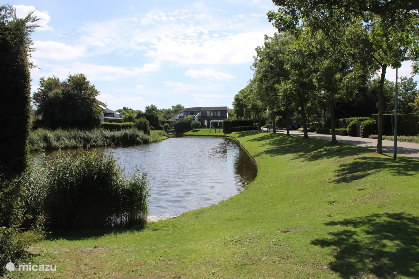 Teich in Port Greve.