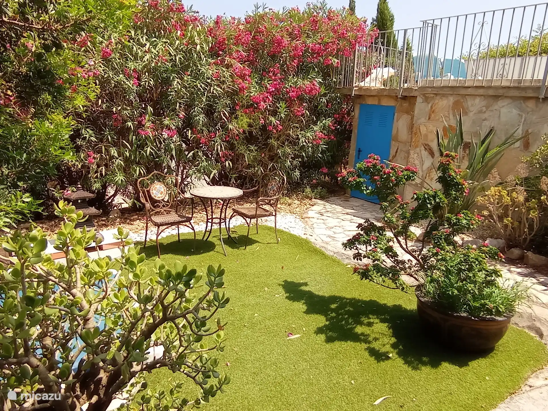 Kleurige bloemen overal.