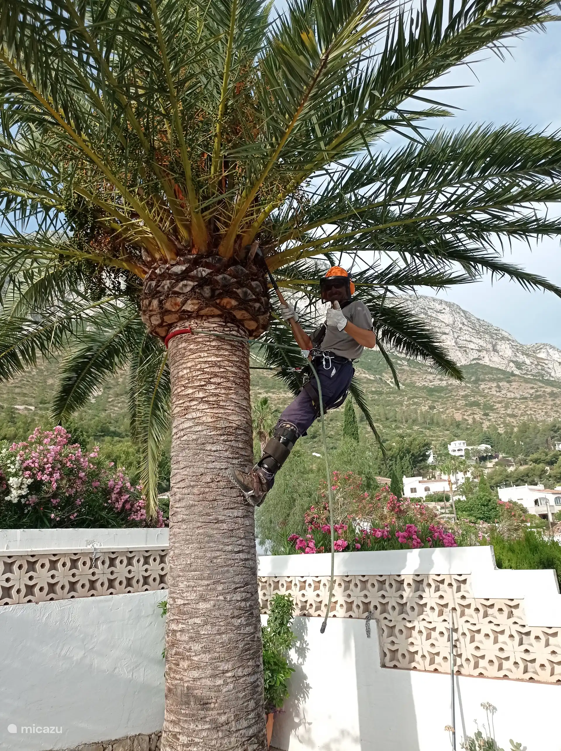 Alvaro maakt de Palmen schoon. Aurora maakt het huis schoon. En Carlos het zwembad. Emilio doet onderhoud. Voor een mooie vakantie.
