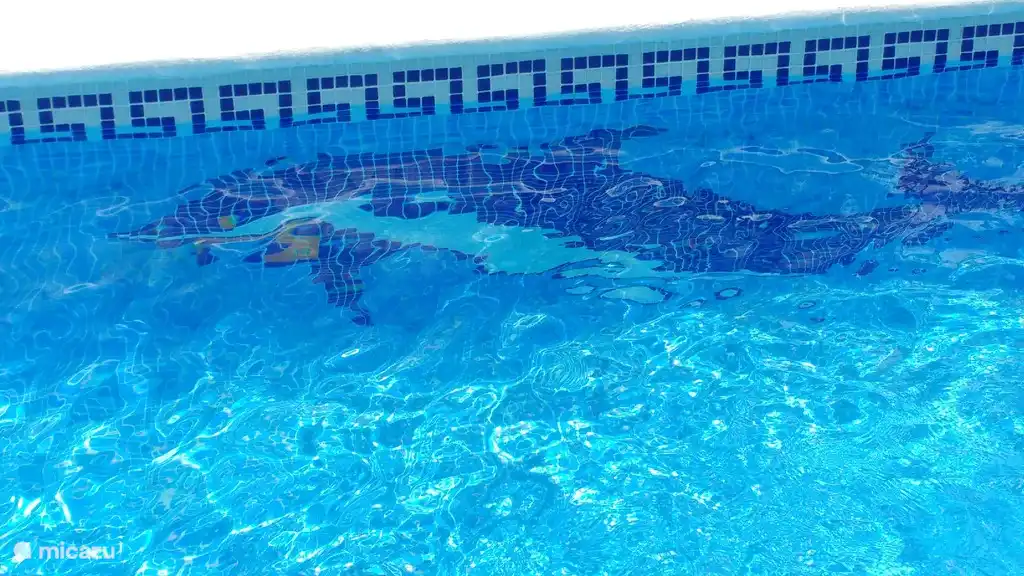 Na een dag bergwandeling lekker met  Delfin  chillen in het zwembad...