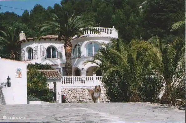 Ihr Hund ist willkommen