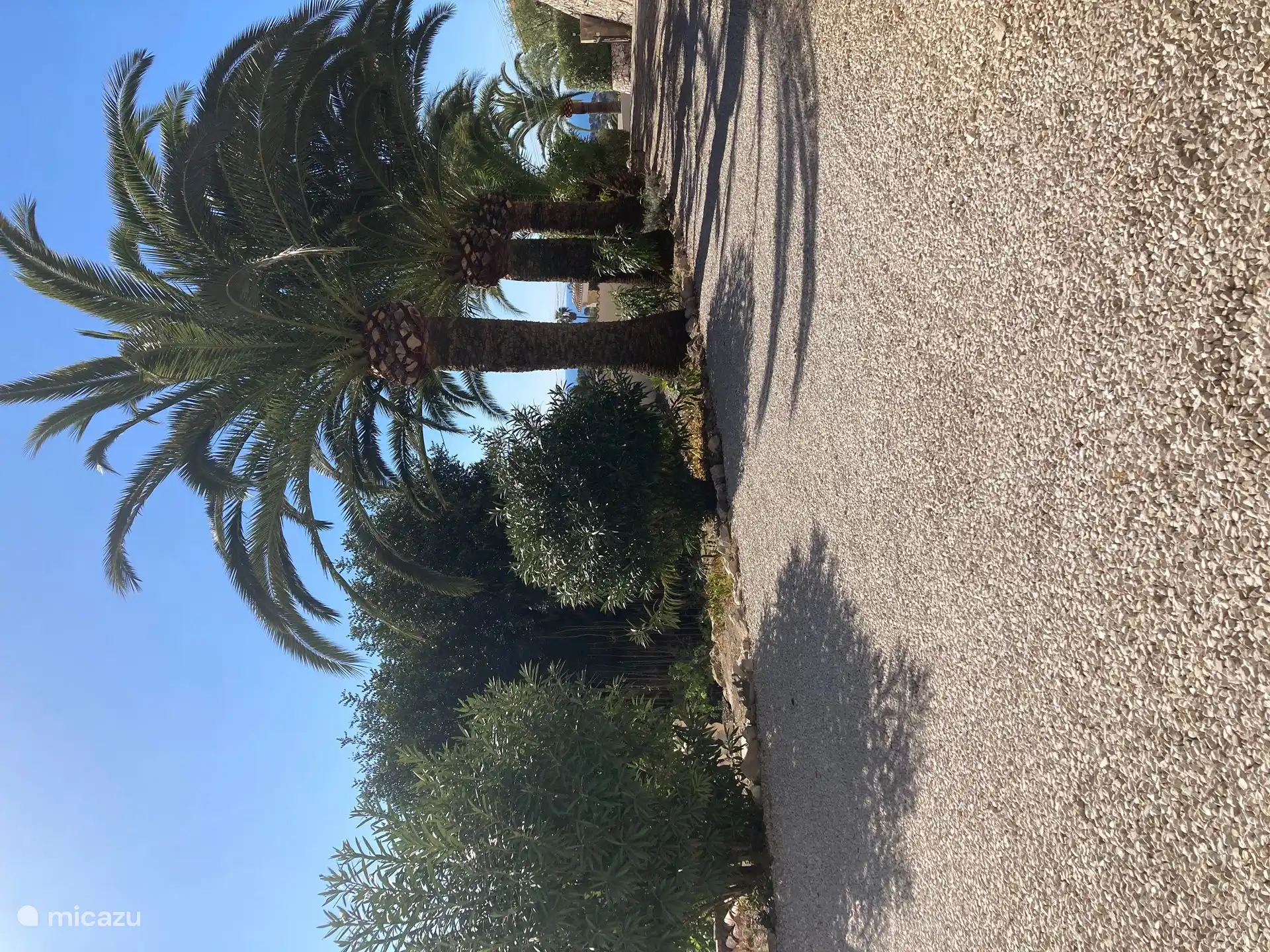 Parkplatz mit Blick auf Palmen und das blaue Meer