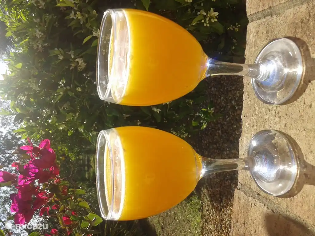 Frisch gepresster Orangensaft.