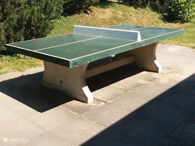 Chalet de luxe à la plage et à Brouwersdam | Pays-Bas, Hollande méridionale, Ouddorp - chalet Table de ping-pong dans la zone de loisirs