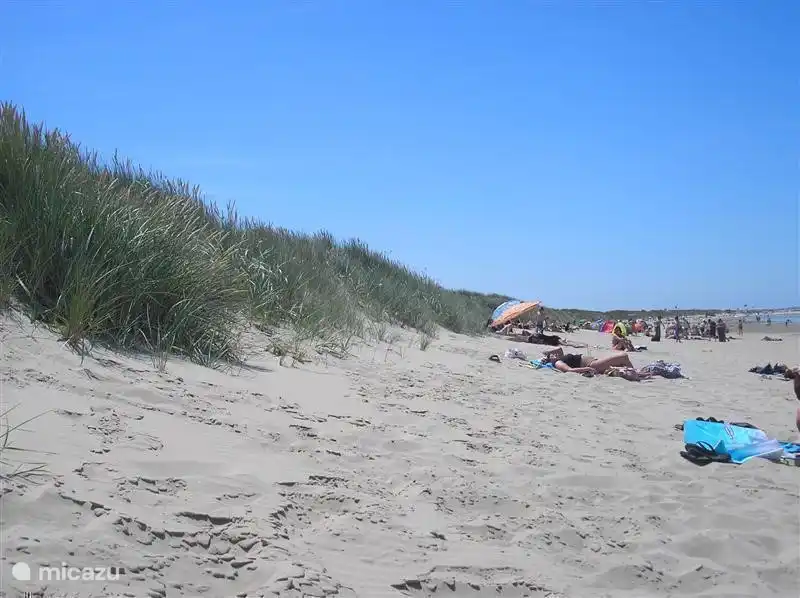 Der Strand bietet viel Platz