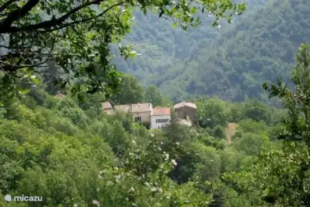 Environnement direct