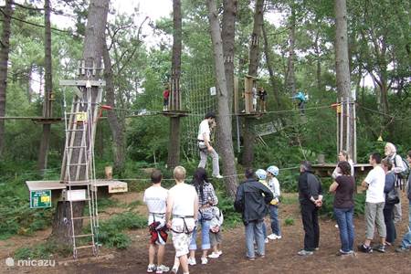 The climbing forest