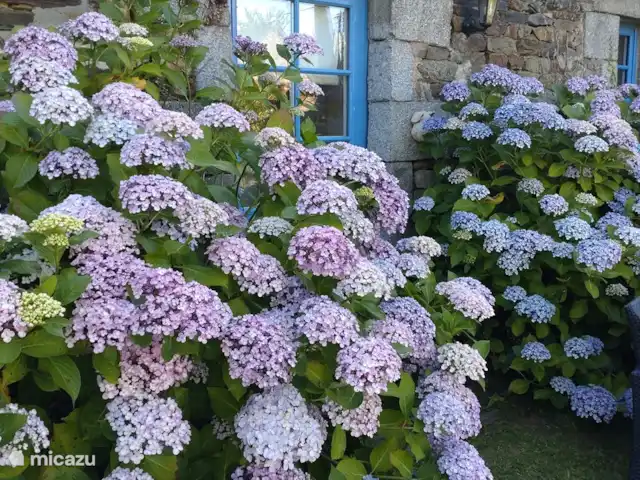 casa rural / cabaña en Francia, Costas de Armos, Hengoat – Casa Rural El Establo Las hortensias en las puertas de entrada.