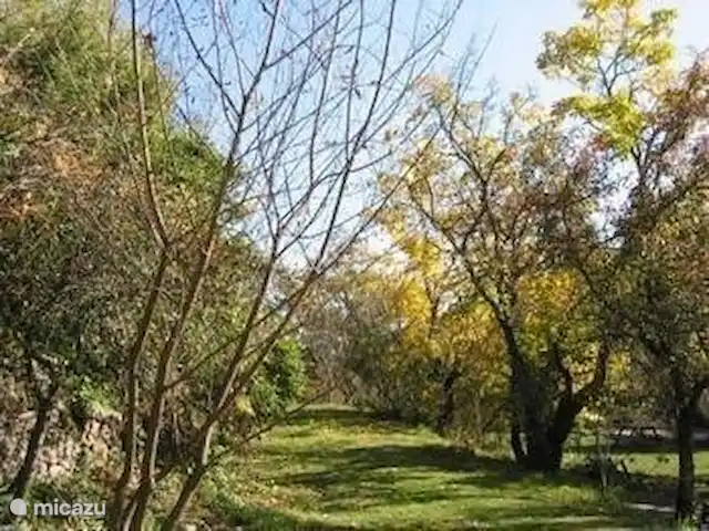 Wandelen, Frankrijk, Ardèche, Gluiras, vakantiehuis La basse Maza - La Glycine Een van de openbare terrassen op het terrein behorend tot La Maza.