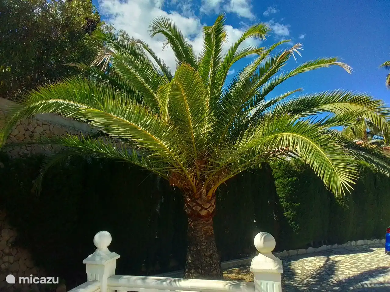 Vue de la 5ème terrasse vers l'allée