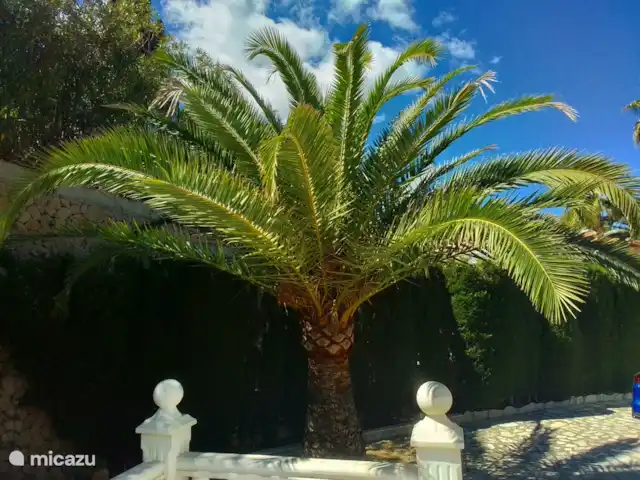 Villa D'Alfaz huren in Spanje, Costa Blanca, Alfáz del Pi - villa Uitzicht vanaf het 5e terras richting oprit