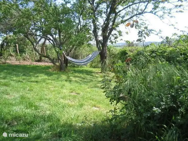 Der Garten hinter dem Haus