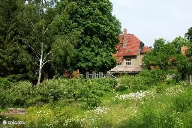 Haus nicht gut sichtbar wegen großer Bäume im Garten