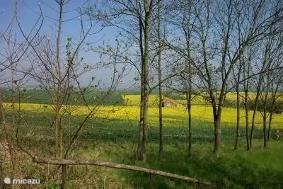 Der Hügel, und dies ist die Ansicht