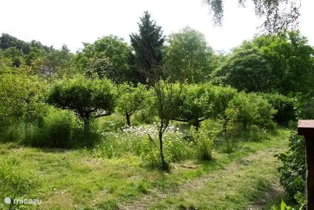 Nach Süden ausgerichteten Garten mit vielen Obstbäumen