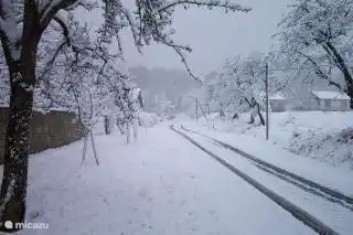 Der Hafen und das ist der Blick