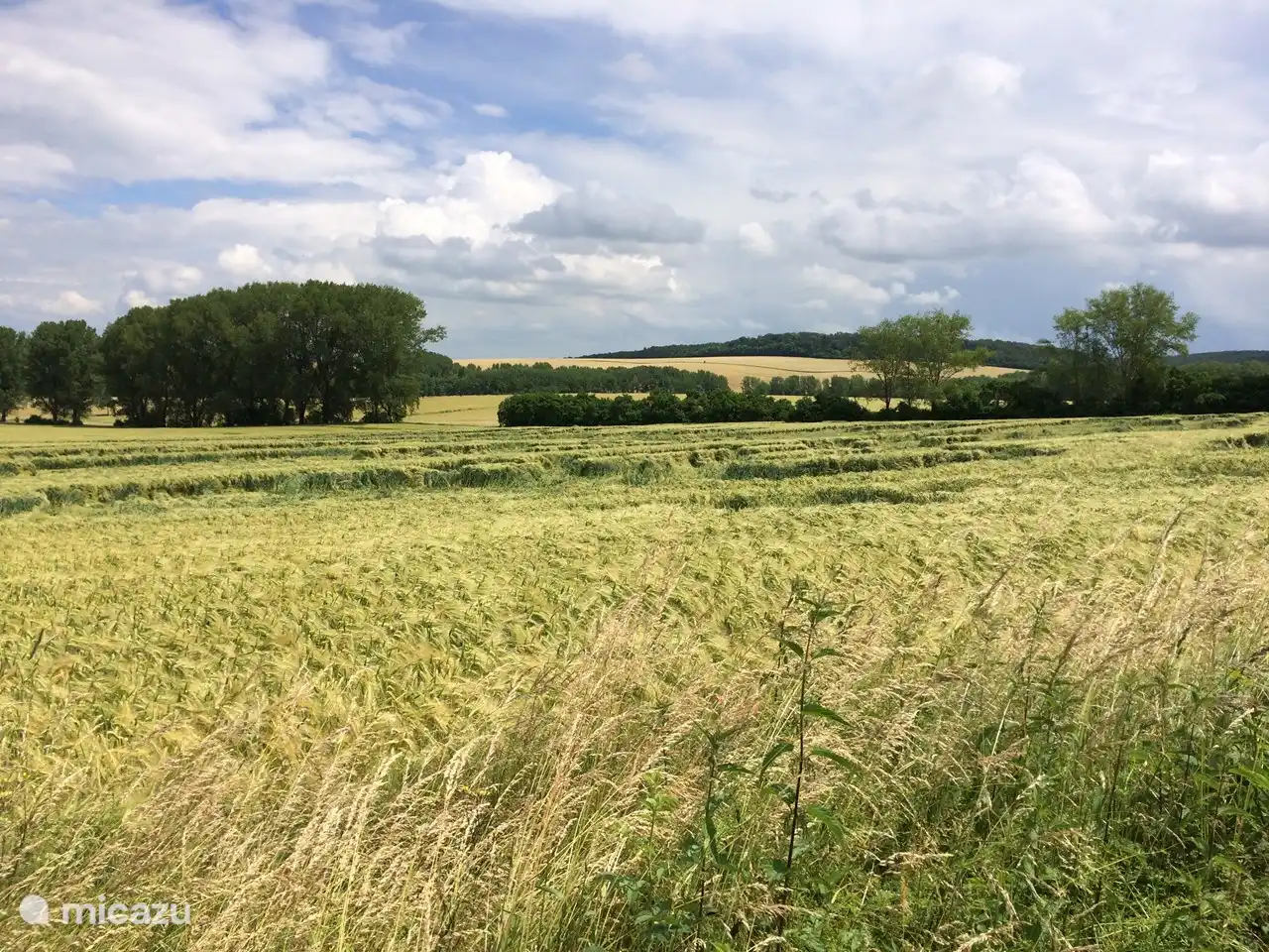 Direkt am Hinterhof ist dies die Landschaft