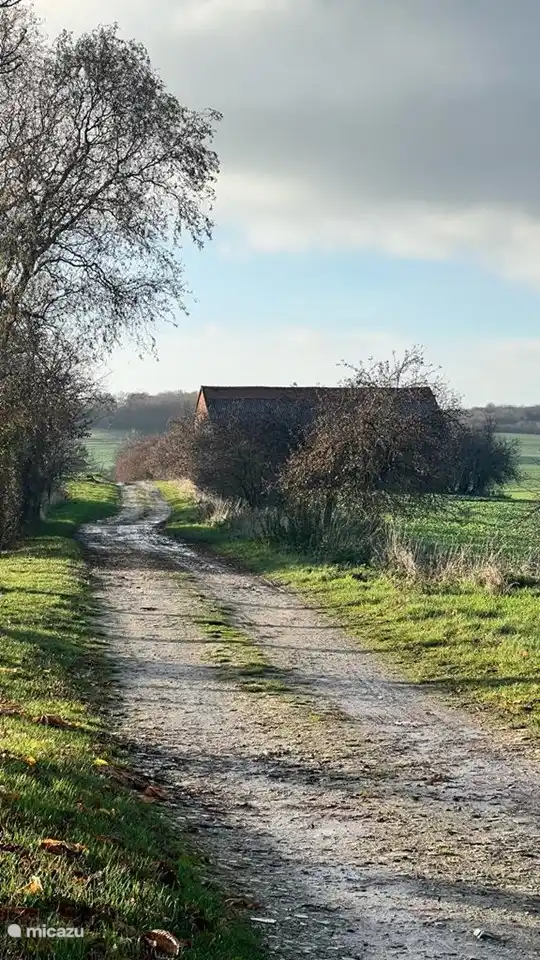 Naturschutzgebiet direkt hinter dem Haus