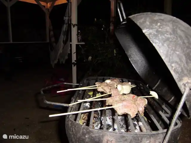 Location de Vacances Suriname, Paramaribo, Paramaribo, maison de vacances - Huize Roza, sûr et proche du centre Il est également merveilleux de profiter d'un barbecue avec seulement deux d'entre vous.
Il y a de bons bouchers dans la région et sur le marché, vous pouvez acheter de délicieux poissons et de grosses crevettes.
Mais les végétariens peuvent également profiter d'un délicieux barbecue avec des aubergines, des poivrons, de la citrouille, des fruits, etc.