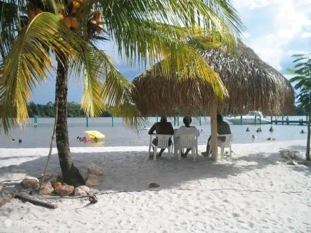 Location de Vacances Suriname, Paramaribo, Paramaribo, maison de vacances - Huize Roza, sûr et proche du centre Plage blanche