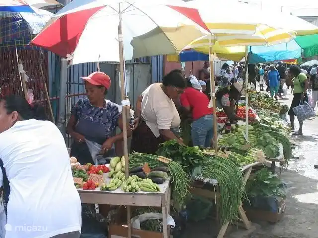 Location de Vacances Suriname, Paramaribo, Paramaribo, maison de vacances - Huize Roza, sûr et proche du centre Le marché