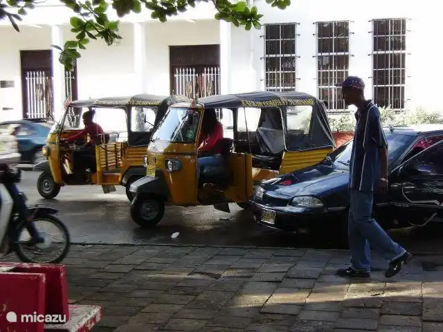 Cozy through the city center with the toektoek