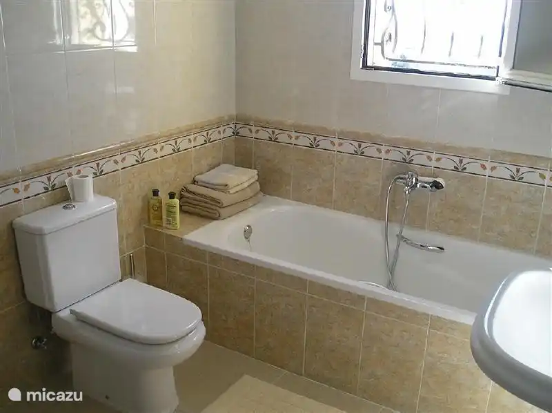 The bathroom complete with shower, bath, toilet and double sink.