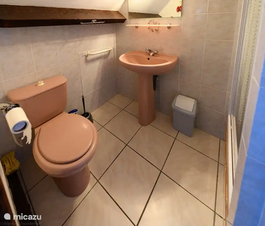 Badezimmer im ersten Stock mit Duschkabine, Waschbecken und Toilette