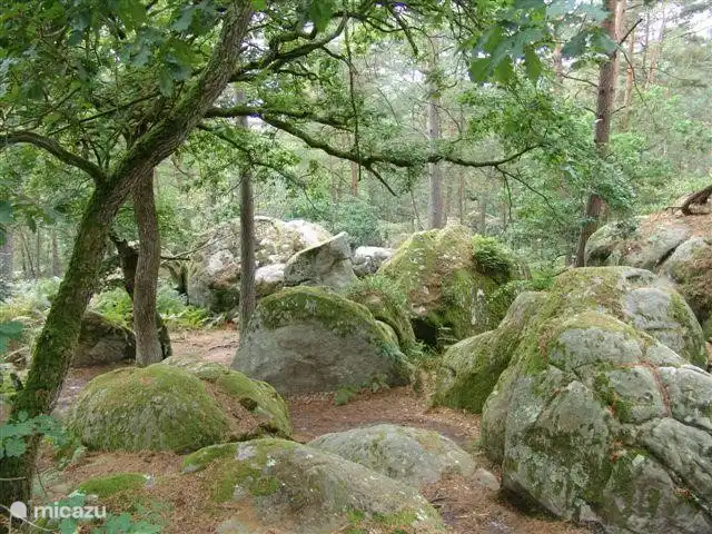 Walking on / zwischen den Felsen