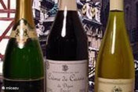 The wines of Burgundy