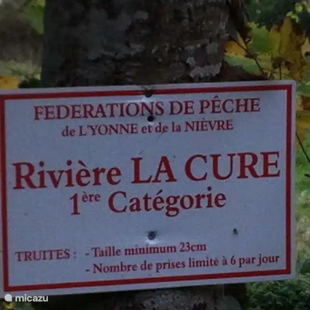 200 Meter vom Haus entfernt, Forellenfliegenfischen der 1. Kategorie