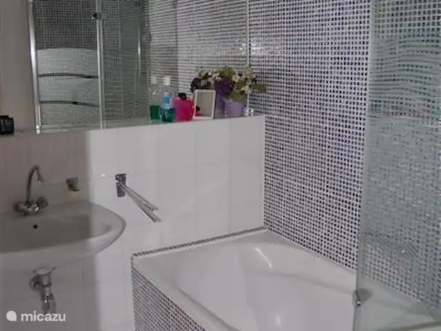 Residence Michel Ange en Francia, Costa Azul, Cagnes-sur-Mer - apartamento Baño en suite con bañera