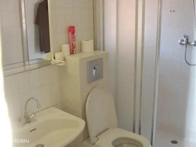 Residence Michel Ange en Francia, Costa Azul, Cagnes-sur-Mer - apartamento Segundo baño (ducha) con inodoro