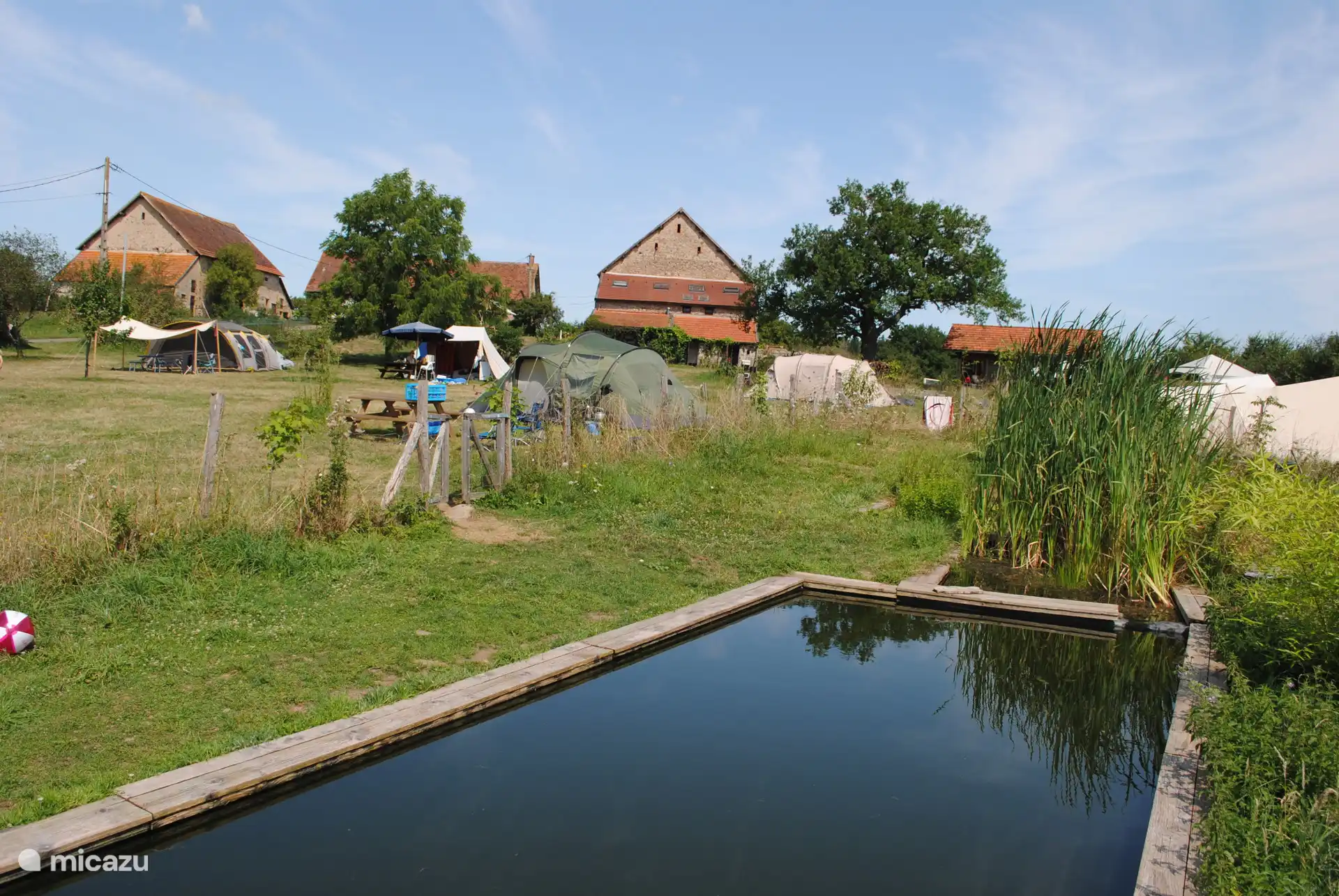 natuurlijke zwemvijver