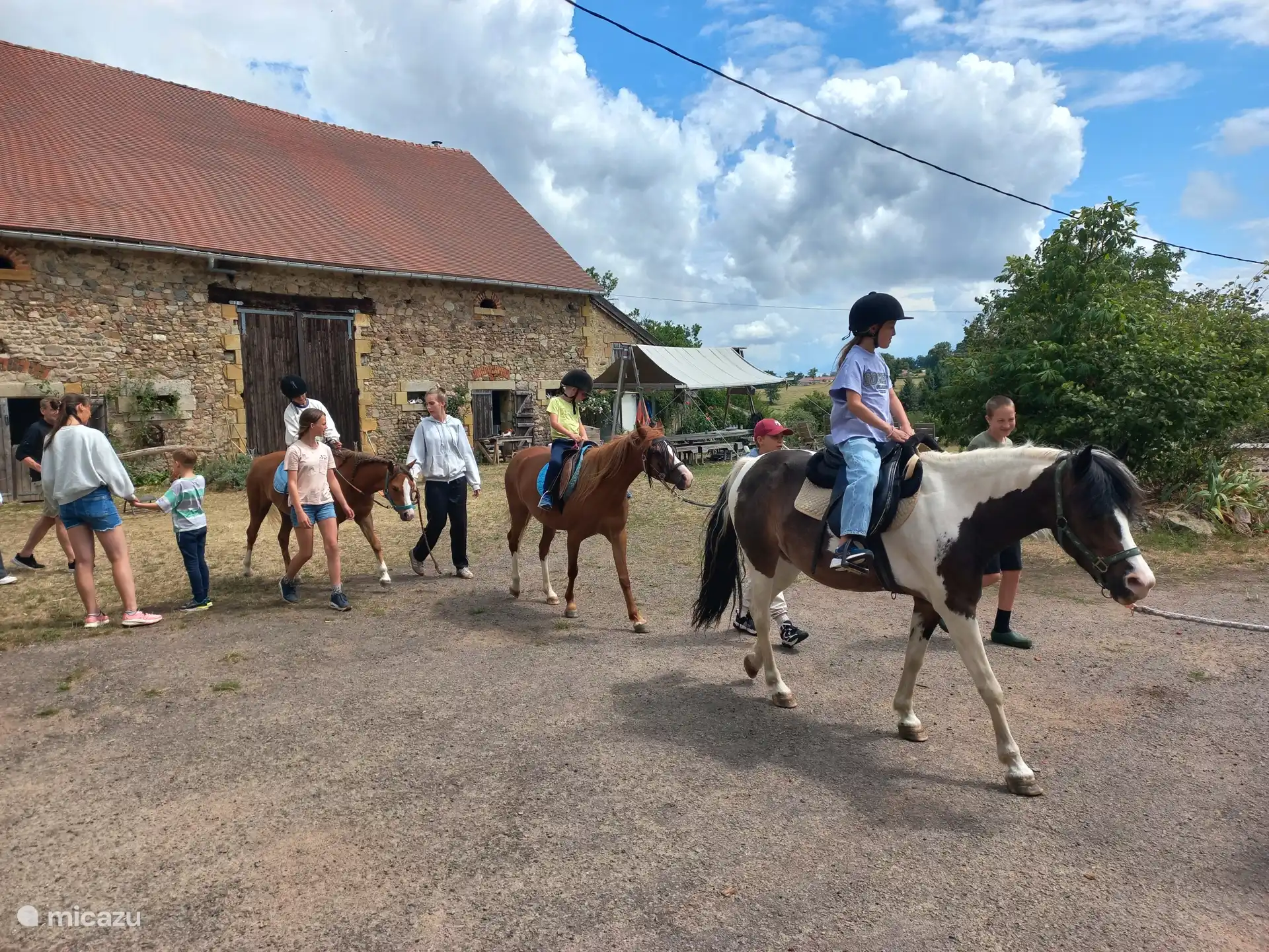 activiteiten met Welsh pony's