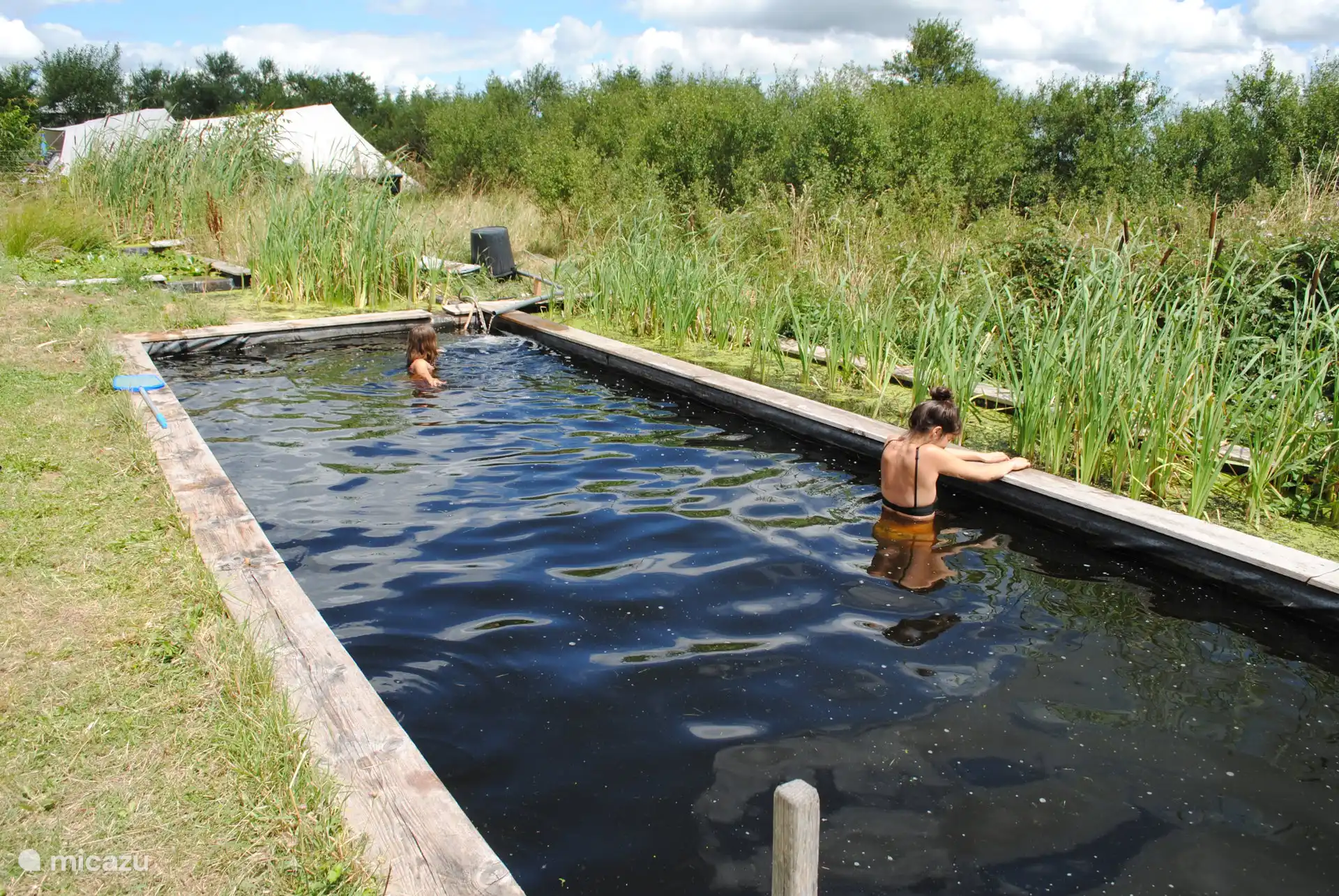natuurlijke zwemvijver