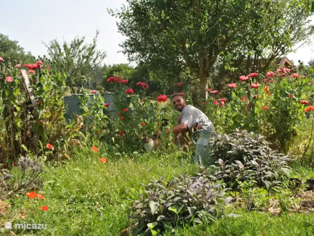 Location de Vacances France, Allier, Vernusse, gîte / cottage - la source Jardin
