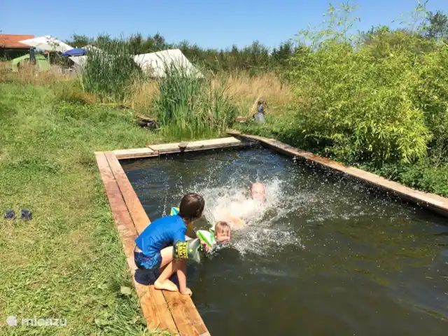 Location de Vacances France, Allier, Vernusse, gîte / cottage - la source Étang de baignade