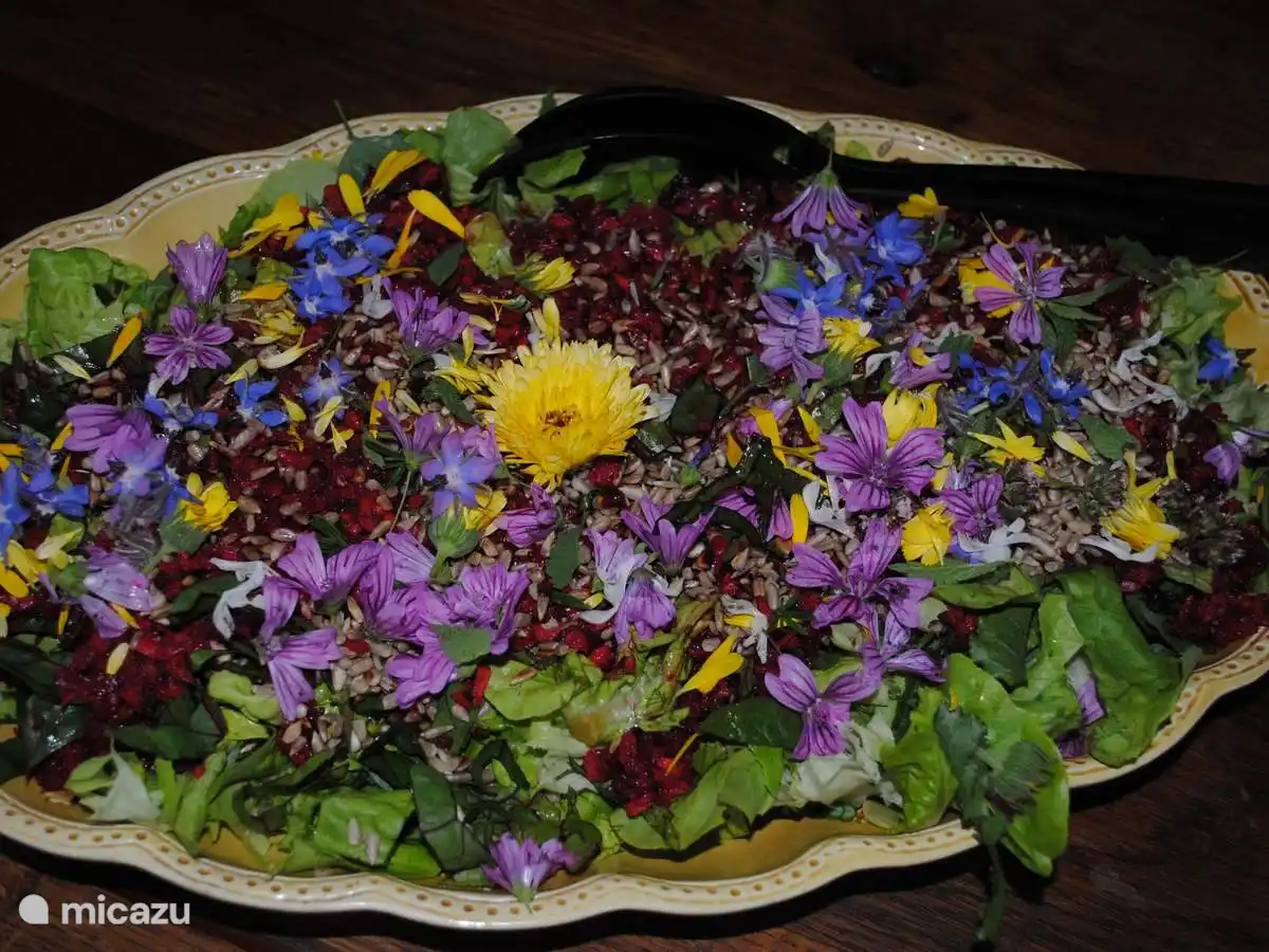 Essen aus dem Garten