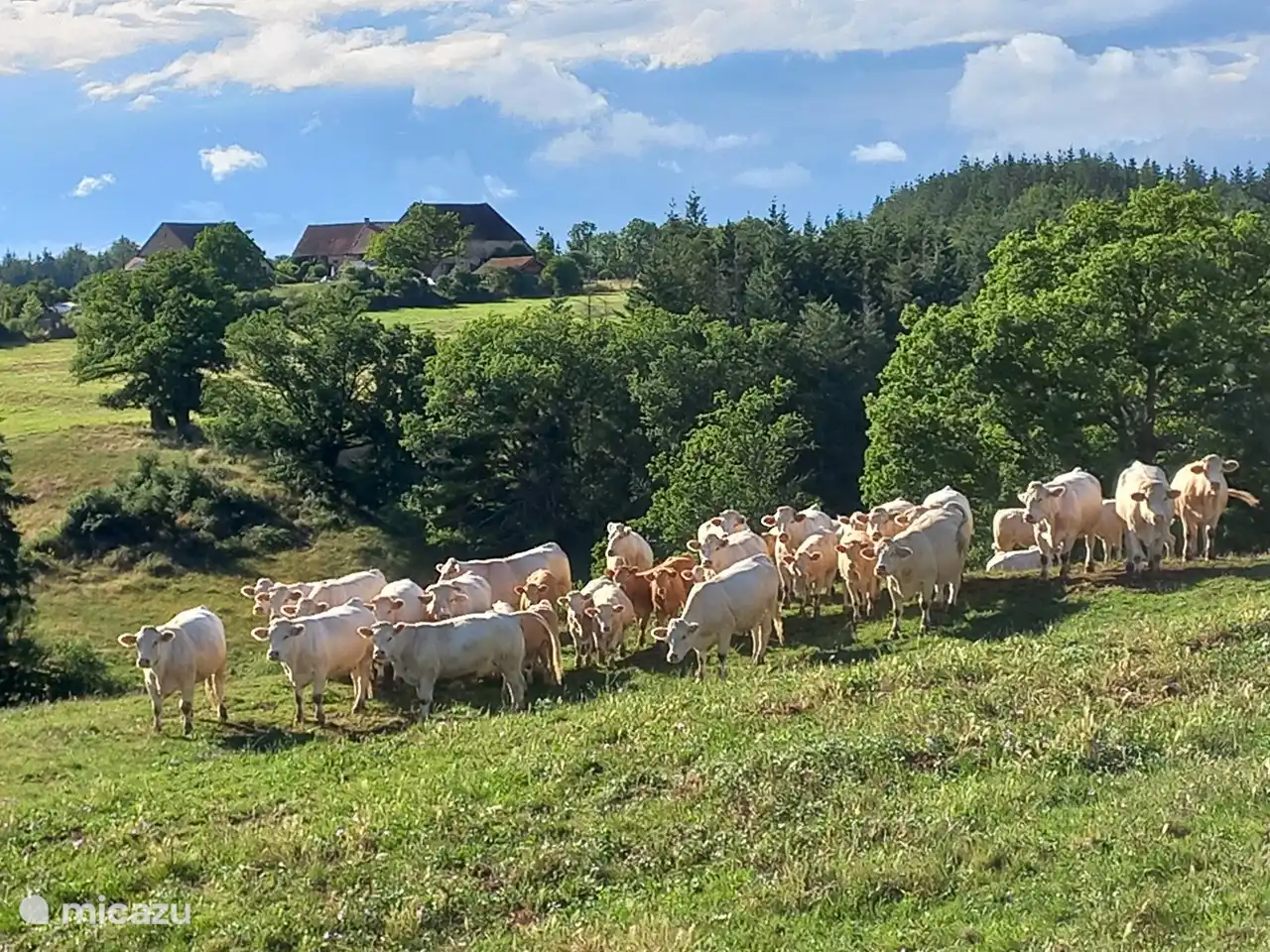 Brenazet ist im Hintergrund. Es ist wunderbar, hier spazieren zu gehen