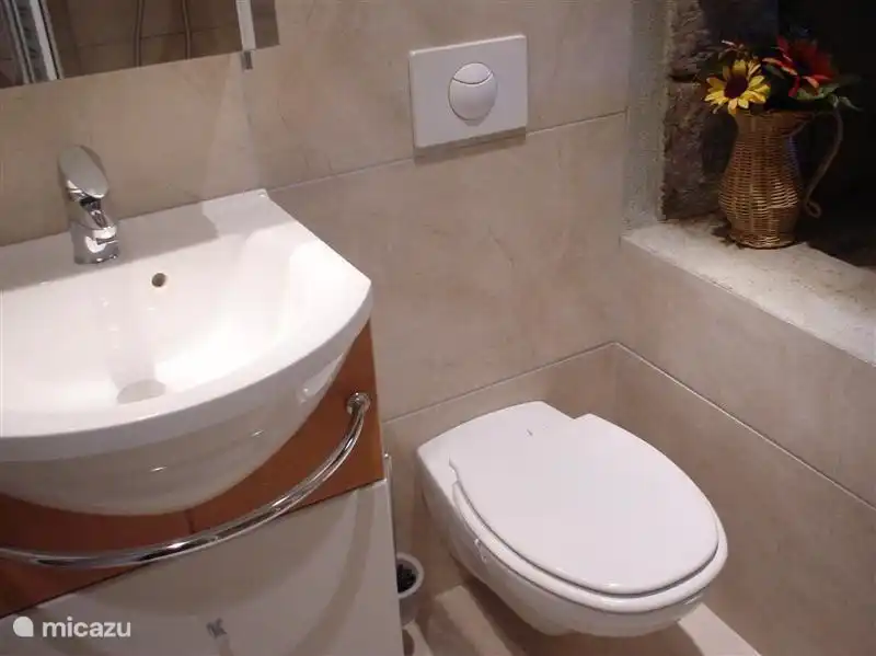 Kürzlich renoviertes Badezimmer mit Dusche, WC und Waschbecken.