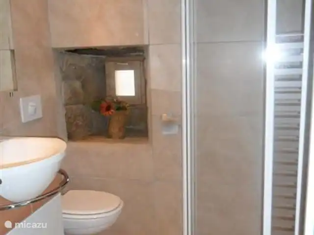 La basse Maza - L'Amande | France, Ardèche, Gluiras - maison de vacances Salle de bain luxueuse avec chauffage, paroi de douche en quart de rond, toilette flottante et meuble-lavabo design.